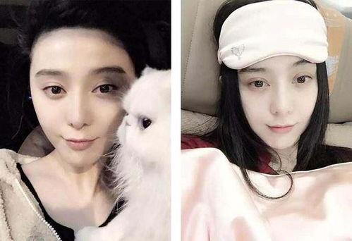 明星小说 娱乐圈吃瓜代号蜜蜂是谁,揭秘娱乐圈吃瓜达人背后的神秘身份