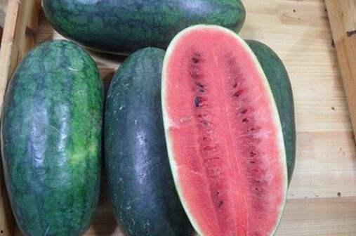 17吃瓜fun 56吃瓜网,揭秘网络吃瓜文化的崛起与演变